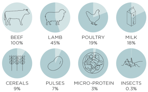 Illustration evaluating the sustainability of protein sources